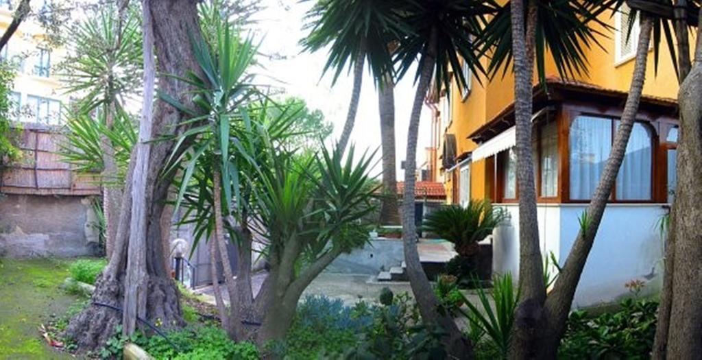 Villa Orchidea Sorrento Cameră foto