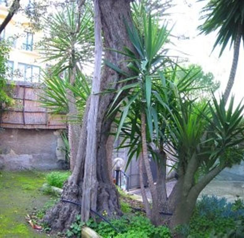 Villa Orchidea Sorrento Cameră foto